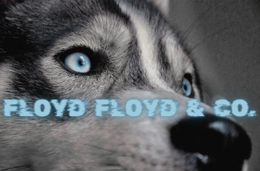 Floyd Floyd & Co.